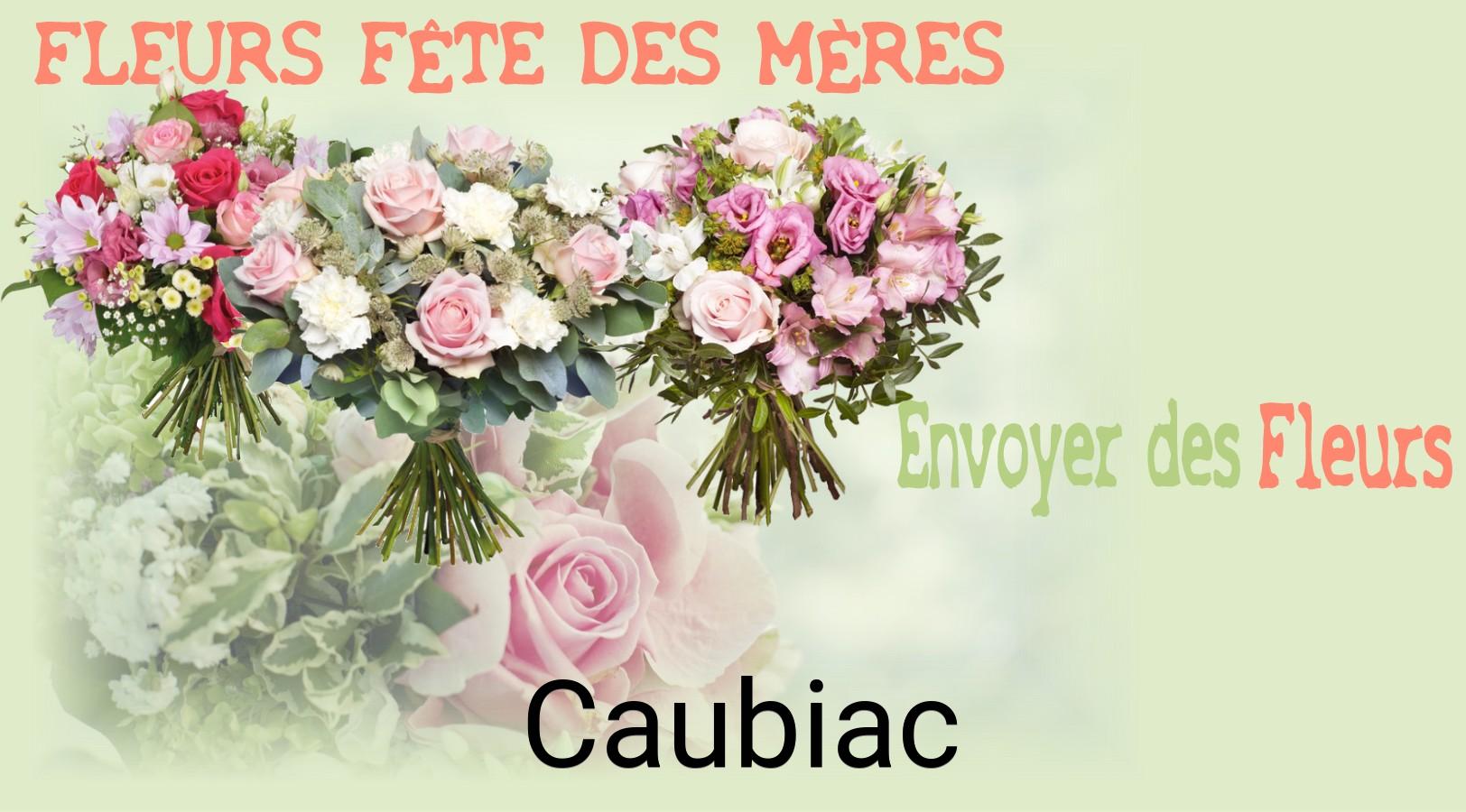 Bouquet de Fête des Mères livré à Caubiac